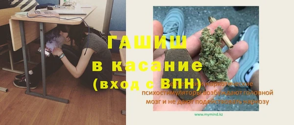 стаф Алзамай