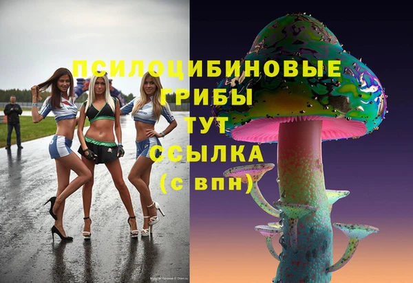 метамфетамин Алексеевка