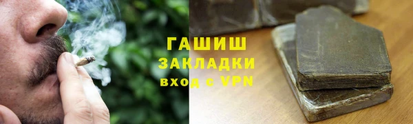 стаф Алзамай