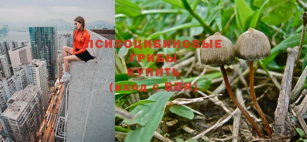 метамфетамин Алексеевка