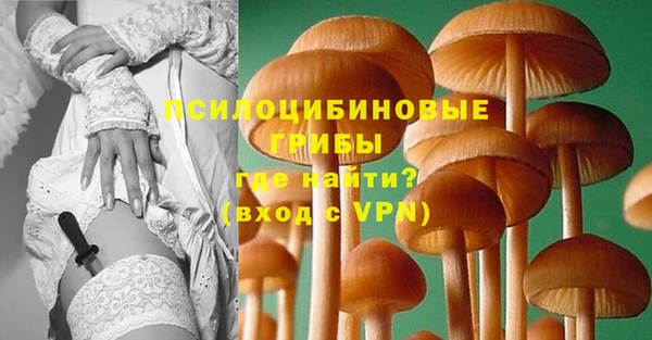 мескалин Болотное