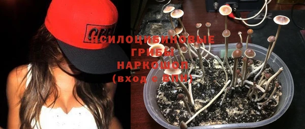 прущий лед Алексин