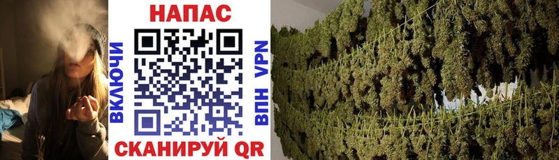 OMG зеркало Заозёрный Бошки Шишки White Widow купить закладку